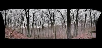 100044-400x189