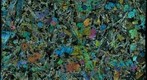 Lunar Sample 12002 Thin Section of Basalt