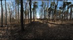 Dairy Bush GigaPan - 132 - March 07 2012