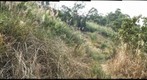 猴山岳gigapan研究-2