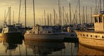 Shilshole Sunset