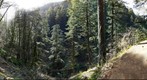 Oneonta Gorge