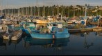 Seaview Boatyard