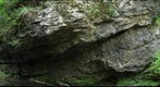 Rock Elm Fold Right