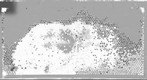 Healthy Progression July 5 Depth-map