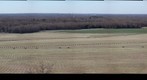 Battle of Pea Ridge 150th Anniversary gigapan 1
