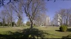 Spring is coming