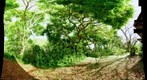 Smithsonian Lab, Bocas del Toro (view from Dining Hall)