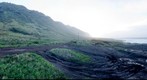 Kaena Point