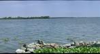Kothad Island. Kerala, India