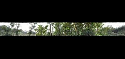 100599-400x189