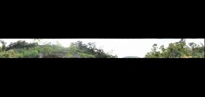 100603-400x189