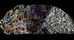 Chromitite, peridotite and anorthosite, Rum Layered Intrusion, Rum, Scotland