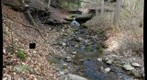 Hemlock Run Falls Oglebay Park