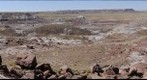 Petrified Forest National Park