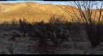 Anzo Borrega Sunset