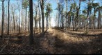 Dairy Bush GigaPan - 133 - March 14 2012