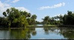Fairchild Gardens Lake in Miami, Florida_LC140258-0789
