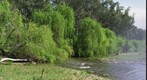 Troy Crossing Dubbo NSW Australia