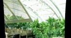 Tampa Aquarium, Tampa Florida, Interior 1