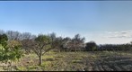 EL HUERTO