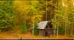 Moul Creek Cabin, Wells Gray Provincial Park, BC