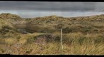 Bodega Bay Marine Lab, Bodegay Bay, CA