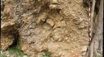 Antietam Breccia 2