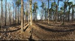 Dairy Bush GigaPan - 134 - March 21 2012