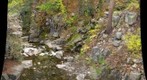Levett Creek