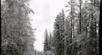 GNP west entrance in winter