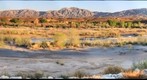 Early evening along the Virgin River in Mesquite, NV