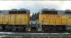 Train locomotives at Springfield, Oregon