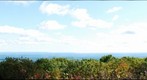 Wachusett 1