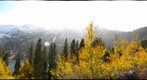 Virginia Lakes Aspens and Snow