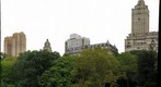 Central Park, New York