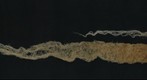 WG Wheat 2' 2nd Banner 1