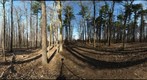Dairy Bush GigaPan - 135 - March 28 2012