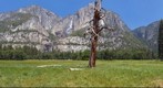 Looking across Sentinel Meadow at Yosemite Falls ( medrez )