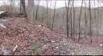 Rt.10Dump Feb 10