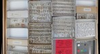 Trixoscelidae, Chyromyidae, Sphaeroceridae, Curtonotidae, and Diastatidae