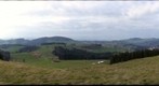 Hohe Buche