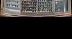 Carabidae 19 Stitch Error