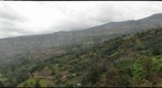 Macheta, Colombian Andes