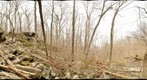 Ringing Rocks, PA 360