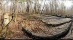 Ringing Rocks, PA 360