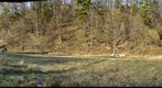 Erindale park -2