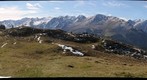 Salfeins 365