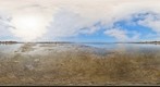 Low Tide, Spermaceti Cove, Sandy Hook