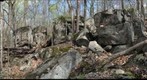 Conway Robinson State Forest- Diabase